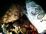 Stærkt spredbar Silica For grønne dæk